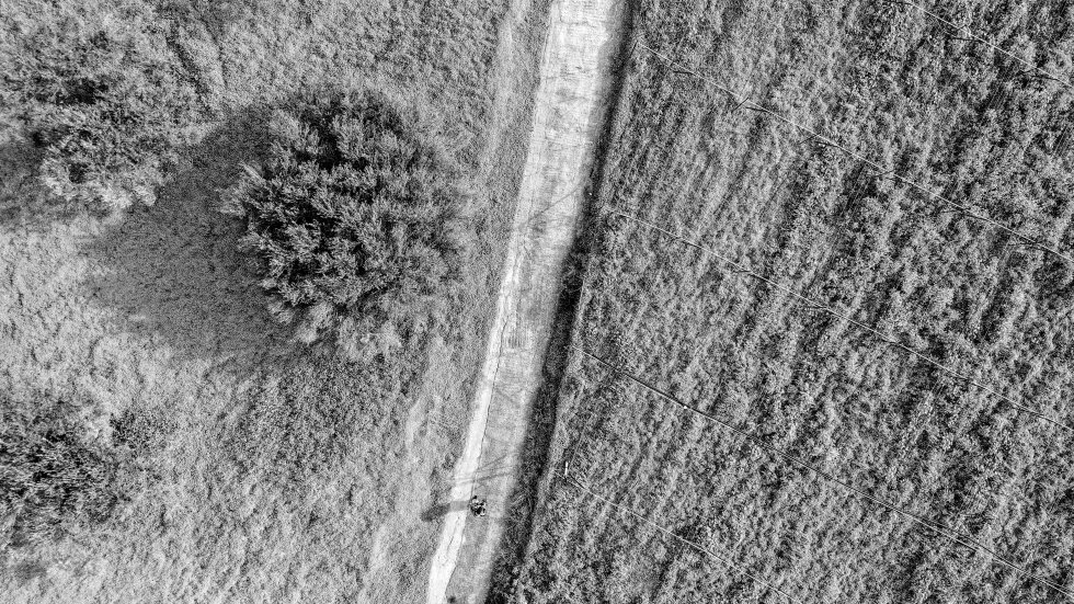 walking through cretan tressures Olive Trees and Vineyards, Greece an aerial view of a field with trees